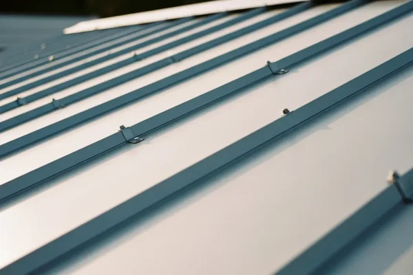 Metal Roof 6